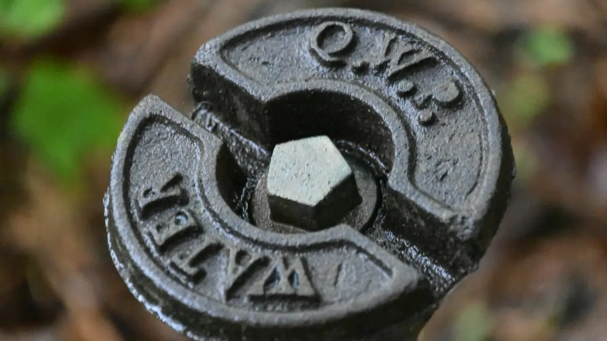 A cast-iron water valve cover with a hex nut set in the ground - Leak Detection in Commerce City