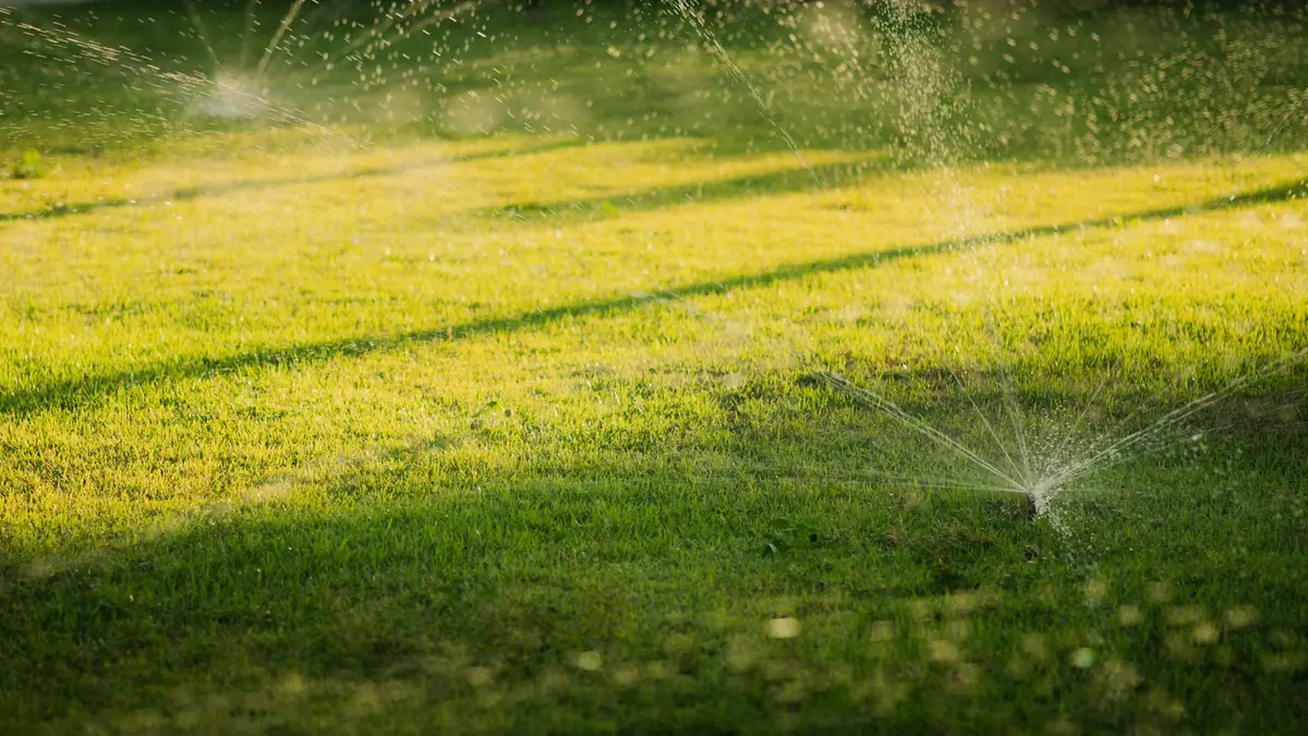 A sprinkler spraying a fan of water across a green lawn - Leak Detection in Commerce City